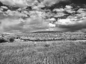  issue of Northwest Review.