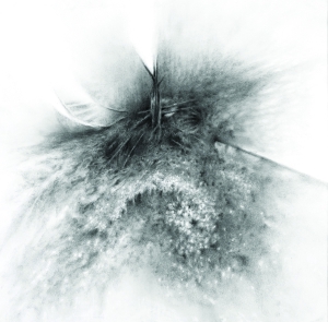  issue of Northwest Review.