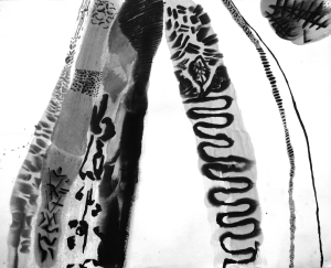  issue of Northwest Review.