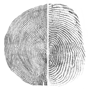  issue of Northwest Review.