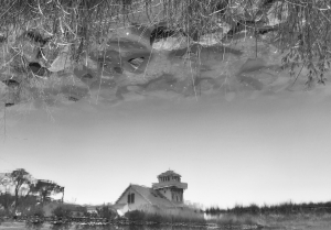  issue of Northwest Review.